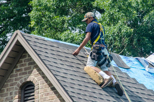 Best Shingle Roofing Installation  in Hunters Creek, FL